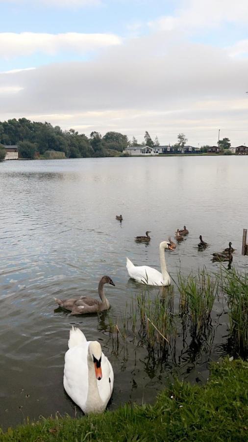 Widgeon Bespoke Cabin Is Lakeside With Private Fishing Peg, Hot Tub Situated At Tattershall Lakes Country Park Экстерьер фото